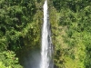 Akaka Falls State Park 10